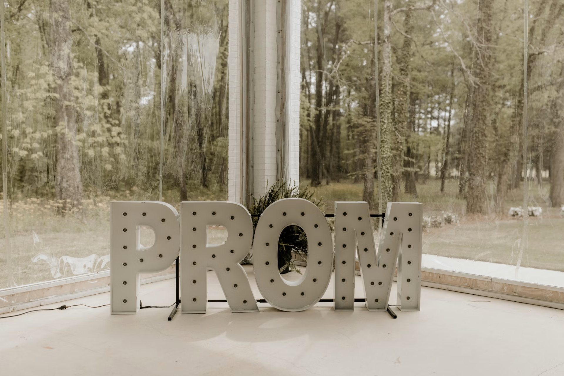 Schools, Colleges & Proms